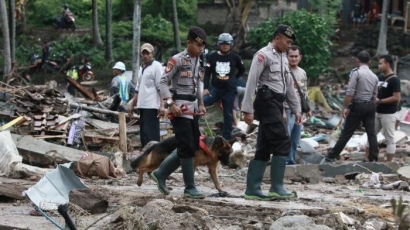 Dari Tsunami Banten dan Lampung Selatan, Kisah Anjing Pelacak Tak Mau Pergi Jika Jasad Belum Diangkat