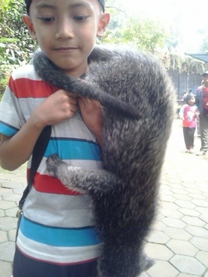 Bandung Zoo, Oase Terakhir di Kota Bandung