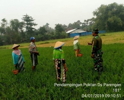 Partisipasi Aktif Babinsa Koramil 0815/07 Jetis dalam Pendampingan Pertanian