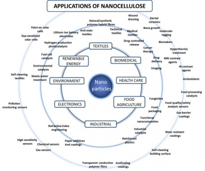 Karakteristik dan Aplikasi Bakteri Selulosa (Nata De Coco)