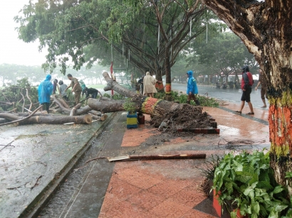 DLH Bantaeng Terjunkan 1 Peleton Pasukan Bersihkan Pohon Tumbang