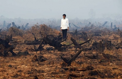 Sangat Serius, Penanganan Kebakaran Gambut Era Jokowi