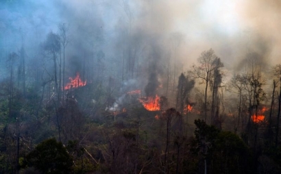 Di Tangan Dingin Jokowi, Kebakaran Hutan dan Lahan Tahunan Sirna