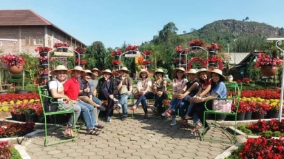 Wisata Kebun Bunga Begonia (Lembang, Bandung)