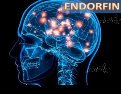 Kiat Memproduksi Hormon Kebahagiaan (Endorfin)