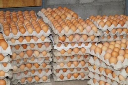 Bagaimana Cara Prabowo Menurunkan Harga Telur Sekaligus Mensejahterakan Petani Jagung?