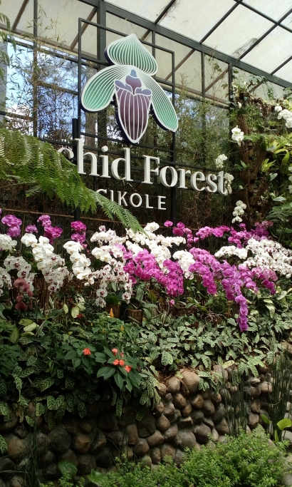 Menelusuri Keindahan Orchid Forest di Lembang Bandung