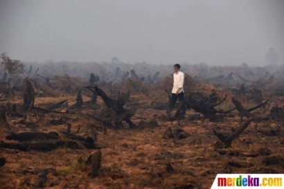 Fakta Ketika Kebakaran Hutan Pak Jokowi Terekam Berada di Sana