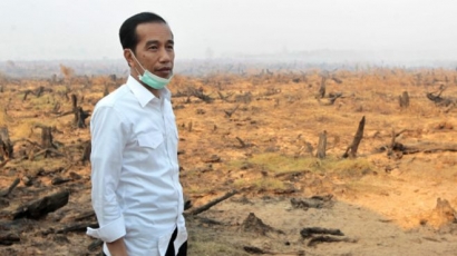 Greenpeace Bantah Klaim Jokowi