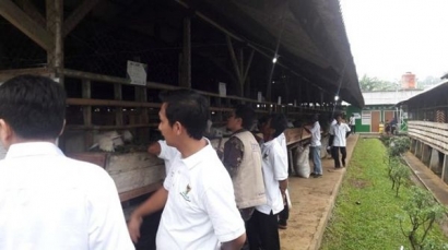 Tingkatkan Kesejahteraan Mustahik, Bangun Balai Ternak di Bogor