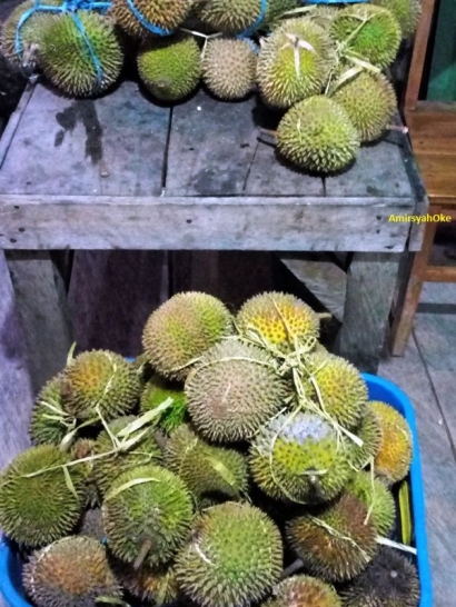 Musim Durian di Pulau Muna