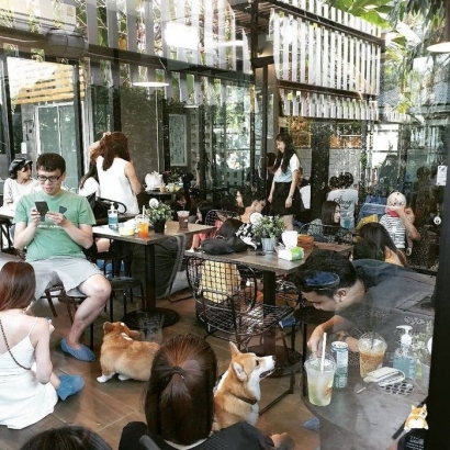 "Corgi in The Garden", Kafe Nuansa Unik dengan Anjing Corgis