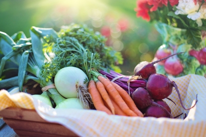 Hidup Sehat dengan Makanan Organik
