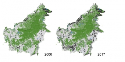 Laju Deforestasi Indonesia Menurun