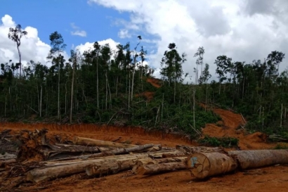 Ribuan Pejuang Lingkungan Bahas Bencana Ekologi RI