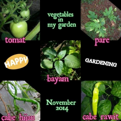 Mari Berkebun Sayuran