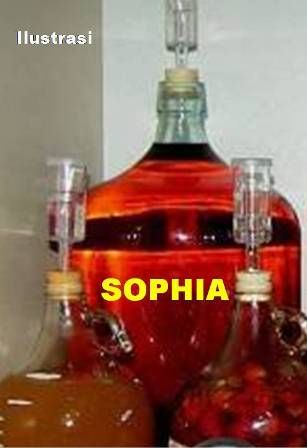 Sophia, Branding Baru Sopi Asli NTT