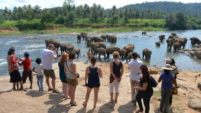 Turis Australia, Bosan ke Bali Pilih Sri Lanka