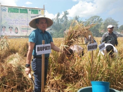Panen Raya Padi, Sekda Bantaeng: Petani Harus Kuasai Teknologi