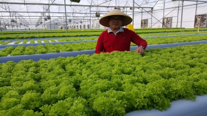 Smart Greenhouse Pertanian Hidroponik Masa Depan Indonesia