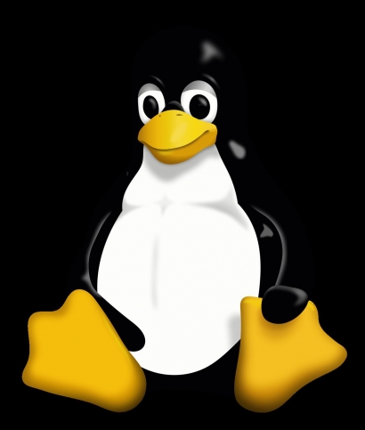 Pengalaman Saya 10 Tahun Menggunakan Linux