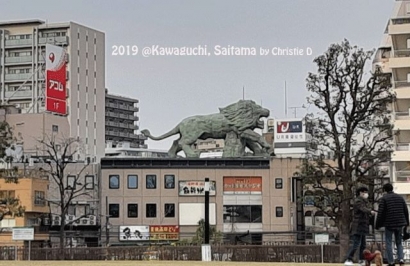 "Singa Kawaguchi" yang Mengaum, Memanggil untuk Datang ke Izikaya-Izikaya Saitama