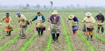 Reforma Agraria di Indonesia: Makin Terang atau Malah Mundur ke Belakang?