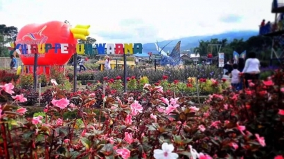 "Say it With Flower!" Wisata Desa Bernuansa Eropa di Taneak Jang