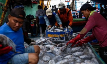 Perang Twitter Soal Indonesia Impor Ikan Asin dari Thailand