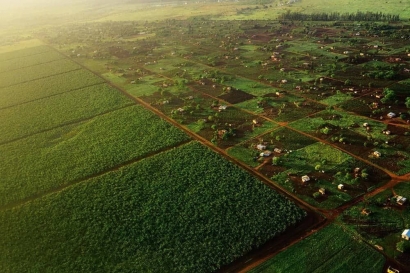 Perlunya Reforma Agraria di Indonesia