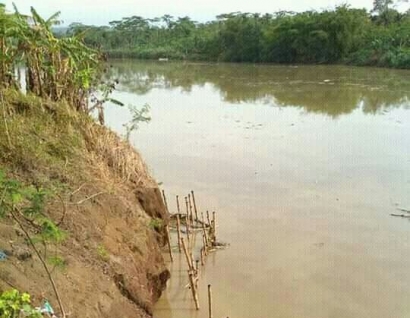 Erosi Sungai Serayu, Tidak Terbaca Pemerintah Cilacap maupun Jawa Tengah?
