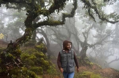 Hutan Bonsai Tertua di Kabupaten TTS