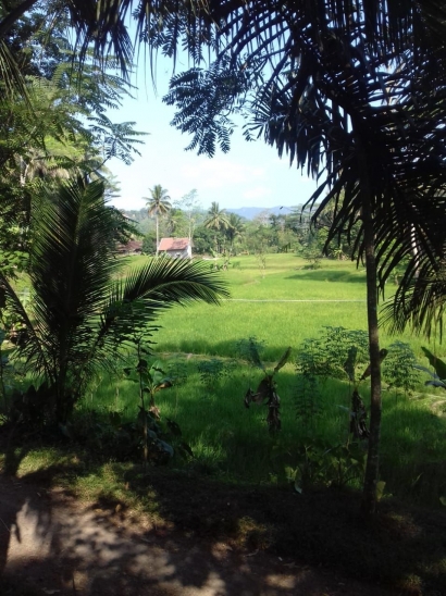 Petani Hilang, Indonesia Kepalang