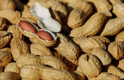 Makan Kacanglah yang Masih Berkulit Tapi Jangan dengan Kulitnya