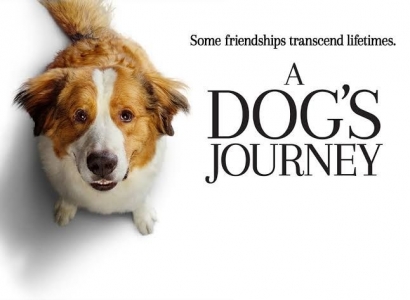 Tentang Cinta, Kesetiaan, dan Harapan dalam "A Dog's Journey"