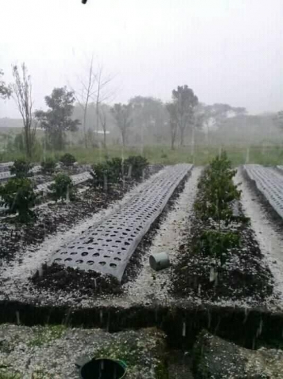 Hujan Es di Aceh, Ribuan "Batu" Berjatuhan dari Langit