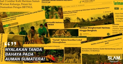 Nyalakan Tanda Bahaya pada Auman Sumatra!