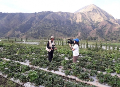 Potensi Tanaman Hortikultura Bukit Anak Dara Lombok