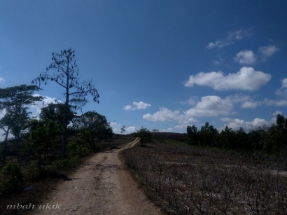 Wajah Kekinian Desa Sumber Roto Donomulyo, Malang