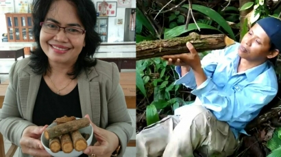 Heboh! Baru Ditemukan Obat Kanker Ganas dari Hutan Kalimantan Tengah