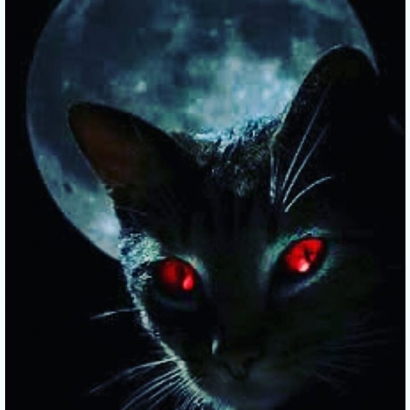 Kucing Cemani lan Atusan Tikus Iblis