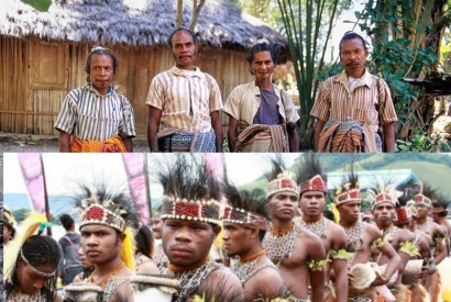 Papua, Timor, dan Pelajaran untuk Indonesia