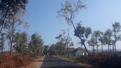 Jalur Utara Bangkalan-Sumenep Sebagian Gelap, Bikin Deg-degan