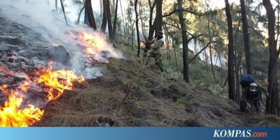 Deteksi Dini untuk Pencegahan Kebakaran Hutan