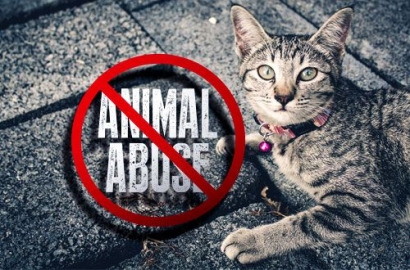 Hasil Olah TKP Video Viral Diduga Pencekokan Kucing