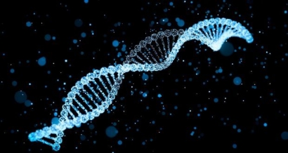 Tentang Identitas, Tes DNA, dan Udel yang Suka Seenaknya Sendiri
