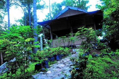Komunitas Dusun Padang, Pusat Pemberdayaan Petani Kopi