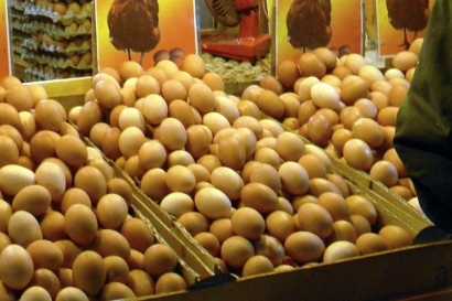 Tak Perlu Panik Sikapi Telur Ayam Tercemar Plastik