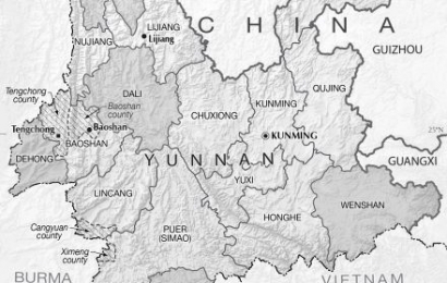 Pembantaian Muslim Yunnan, Awal Berdirinya Kesultanan Pertama Cina pada abad 19