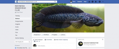 Beli Ikan di Facebook? Emang bisa?